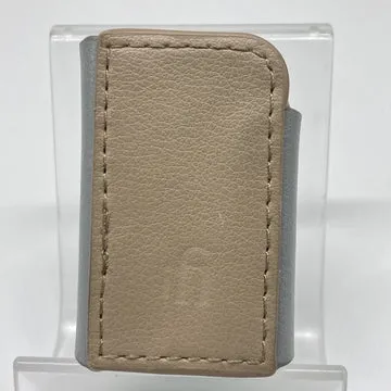 iFi-Audio GO blu case