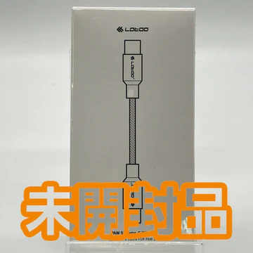 Lotoo PAW S1 付属 TypeC-TypeCケーブル